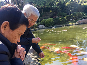 asian-couple-near-koi-pond