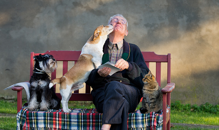 Senior man with dogs and cat on his lap on bench